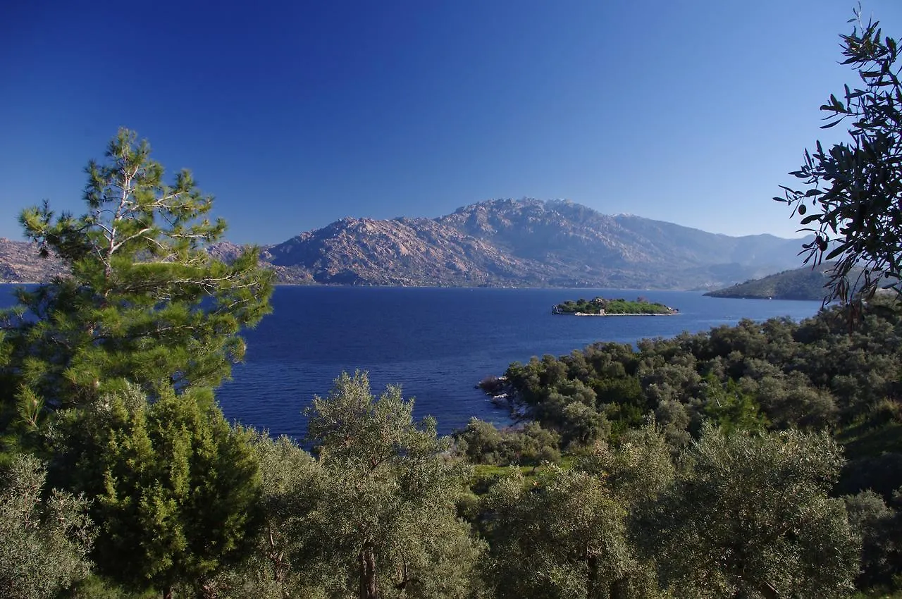 Hotel Silva Oliva Lake Bafa 0*, Kapikiri